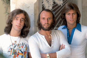 Bee Gees (the) (The Bee Gees)